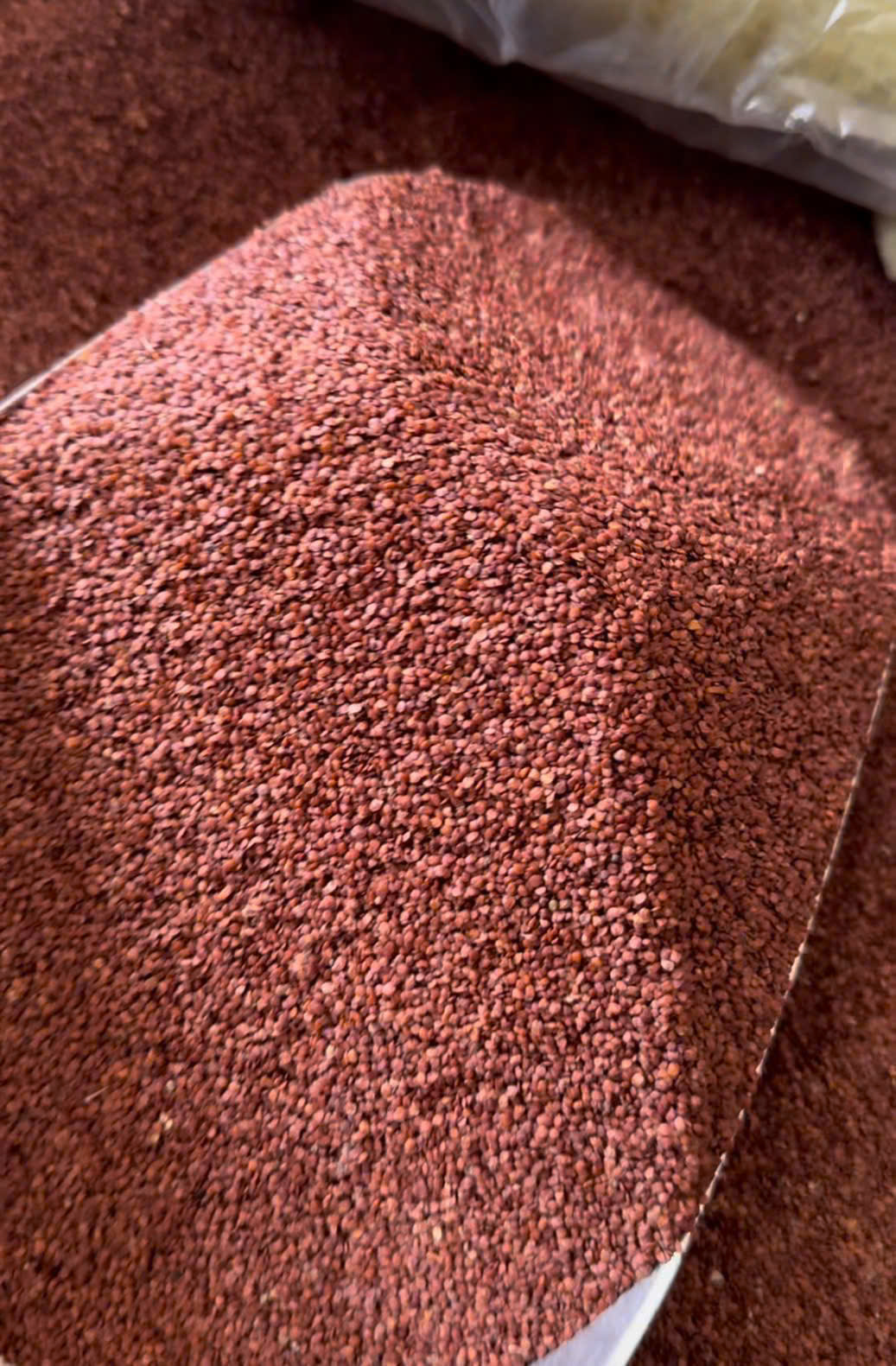 HẠT NGŨ HOA (Hạt Đình Lịch)