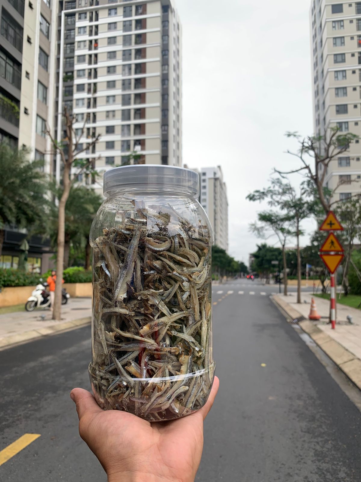 CÁ CƠM KHÔ PHI LÊ - Ảnh 11