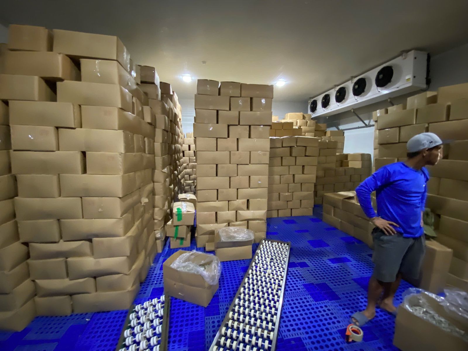 CÁ CƠM KHÔ - Ảnh 5