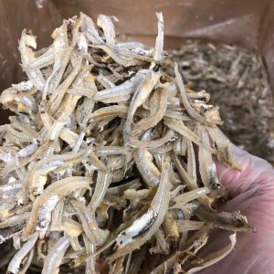 cá cơm khô phi lê - dried anchovy fillet