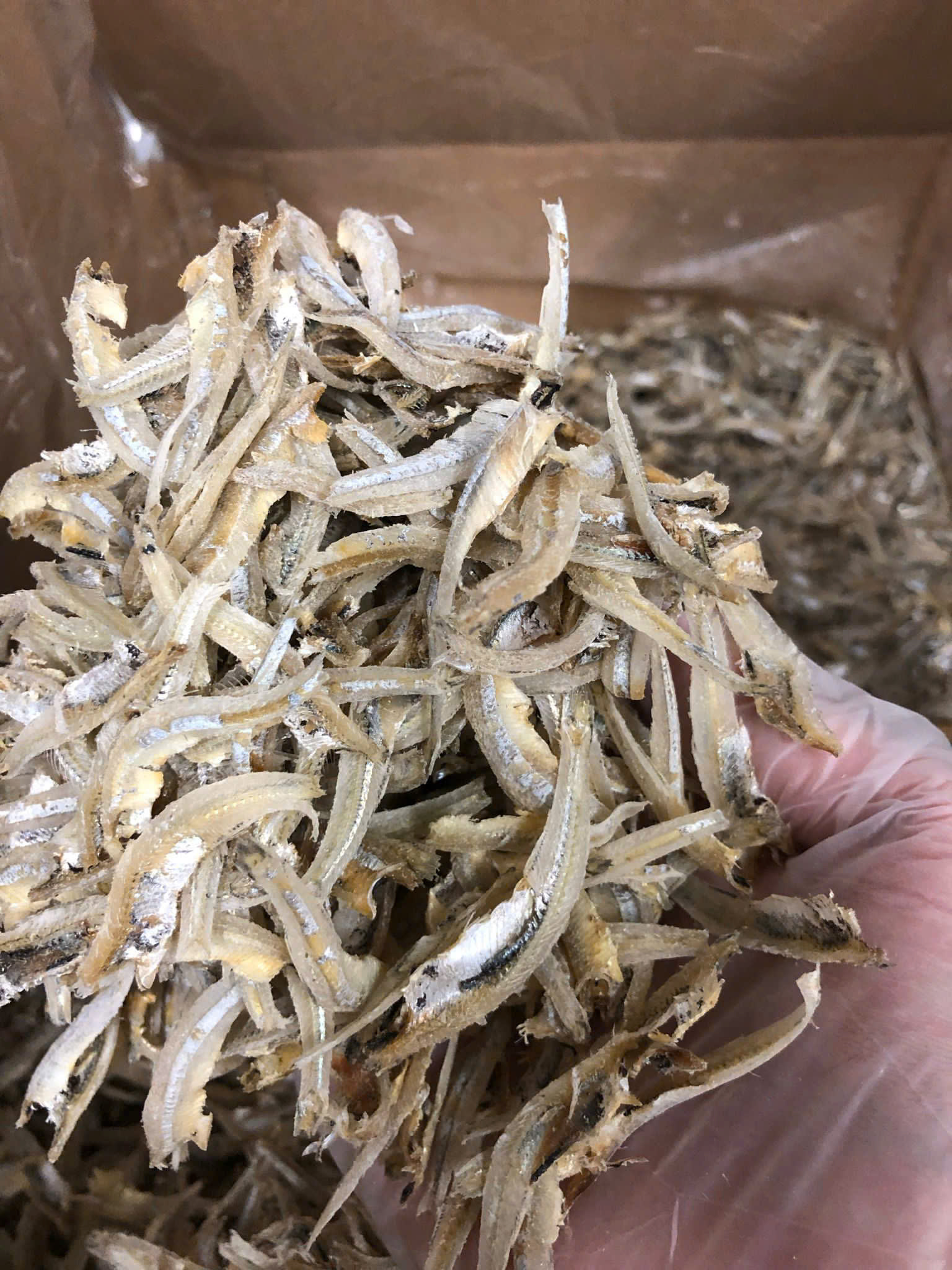 cá cơm khô phi lê - dried anchovy fillet