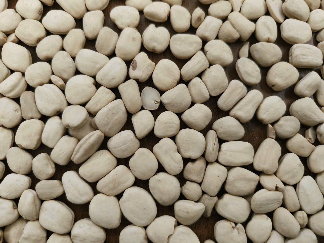 HẠT ME RANG - Ảnh 2