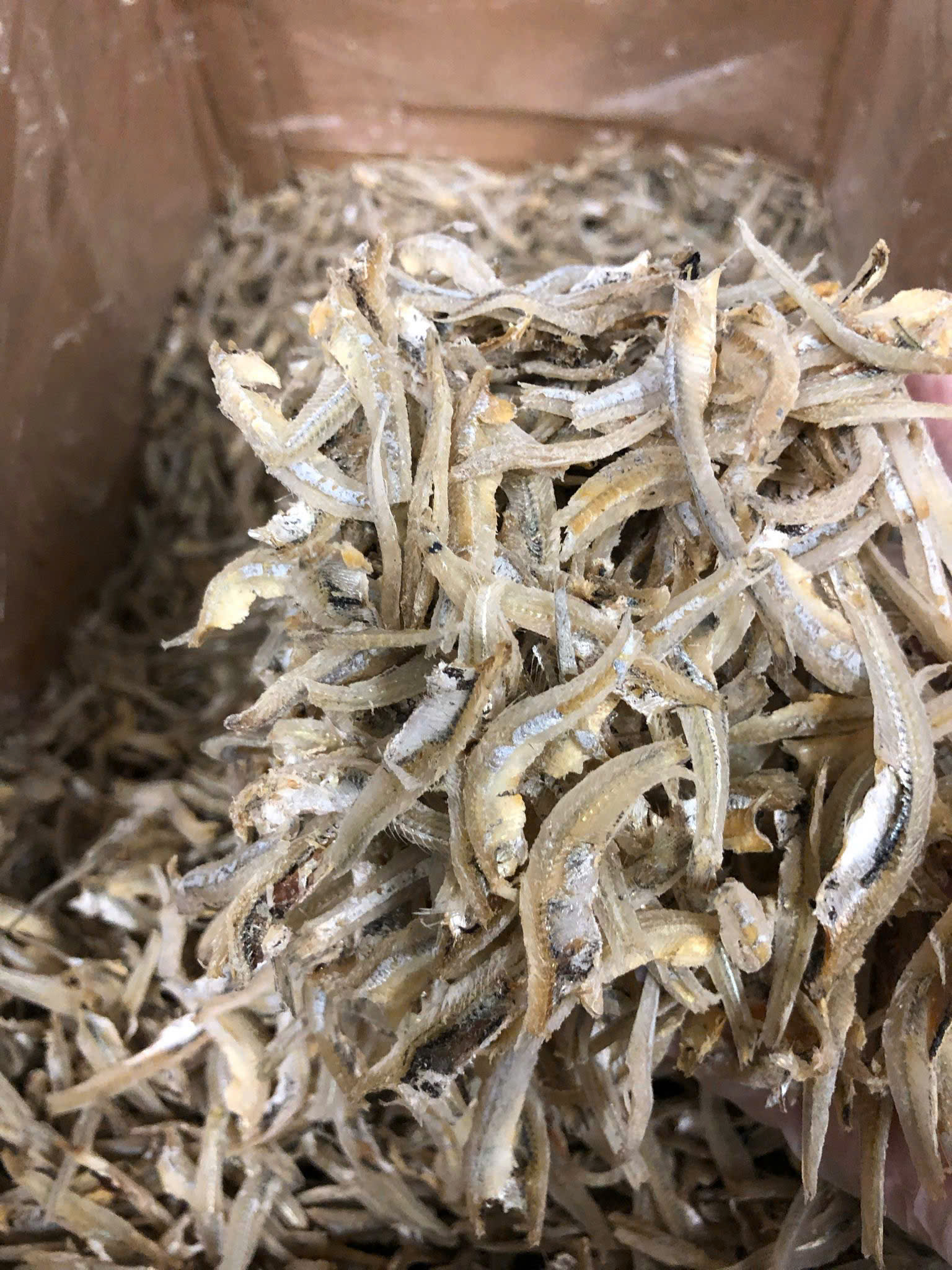 CÁ CƠM KHÔ PHI LÊ - Ảnh 3