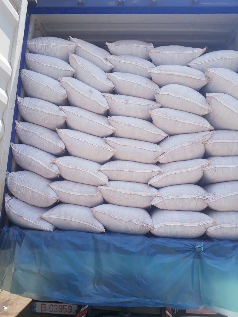 HẠT ME RANG - Ảnh 3